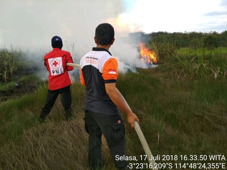 Pemadaman Kebakaran Lahan di Desa Tungkaran