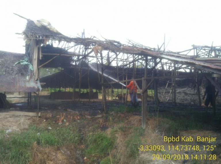 Pemadaman Kebakaran Lahan di Cintapuri Darussalam