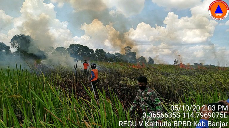 Kebakaran Lahan Desa Sungai Batang Kec. Martapura Barat