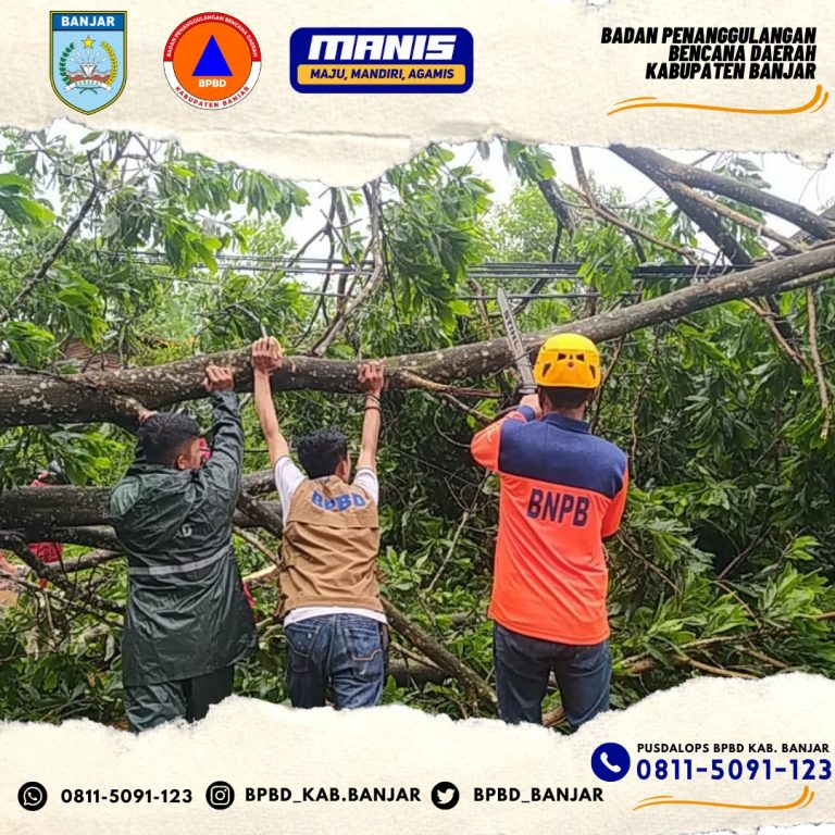 Penanganan pohon tumbang kecamatan martapura