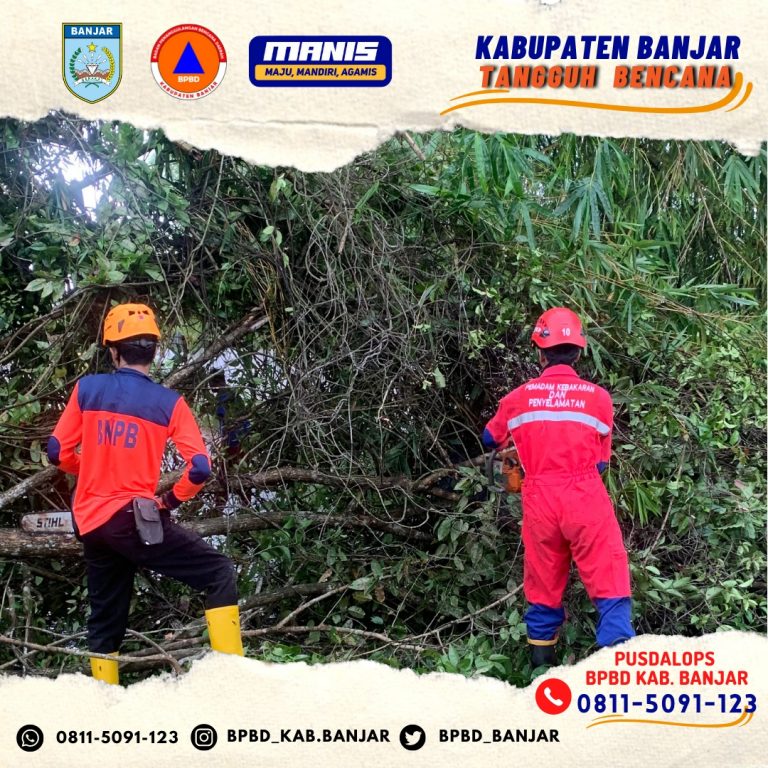 Penanganan pohon tumbang yang menghalangi akses jalan di desa sungai sipai