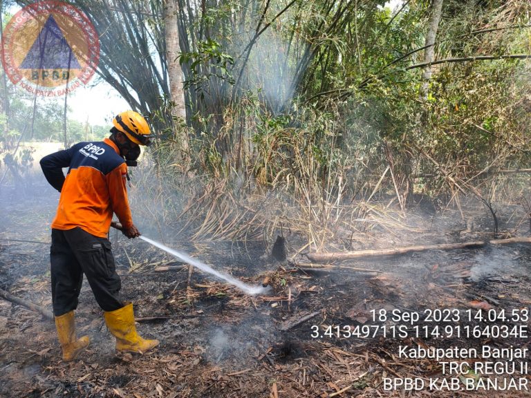 Karhutla di Kabupaten Banjar Membakar Lahan 444 Hektare Lebih