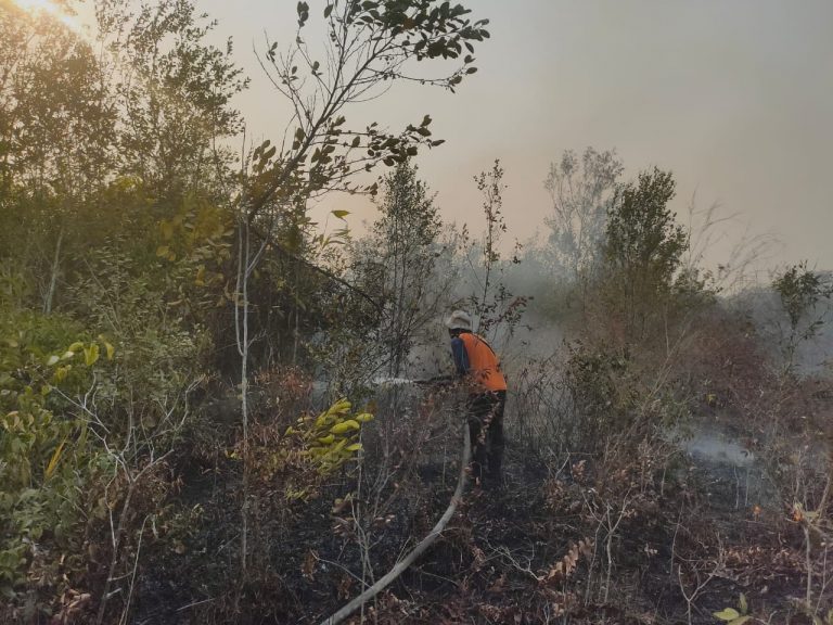 Karhutla di Empat Desa, Total 23,5 Hektare Lahan Hangus