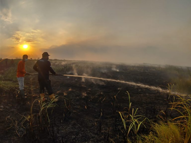 Karhutla di Tungkaran, 10 Hektare Lahan Terbakar