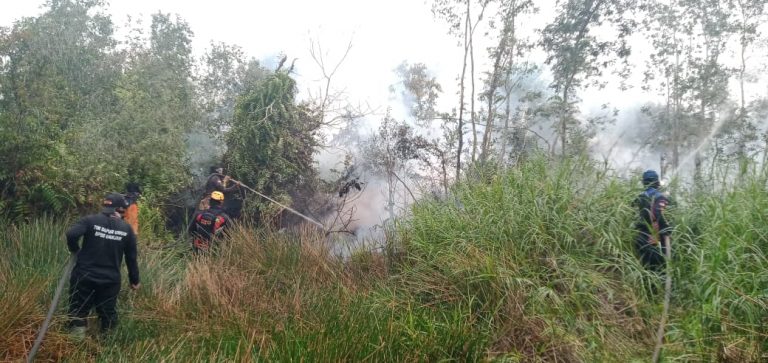 Lahan 8 Hektare di Gudang Tengah Hangus Terbakar