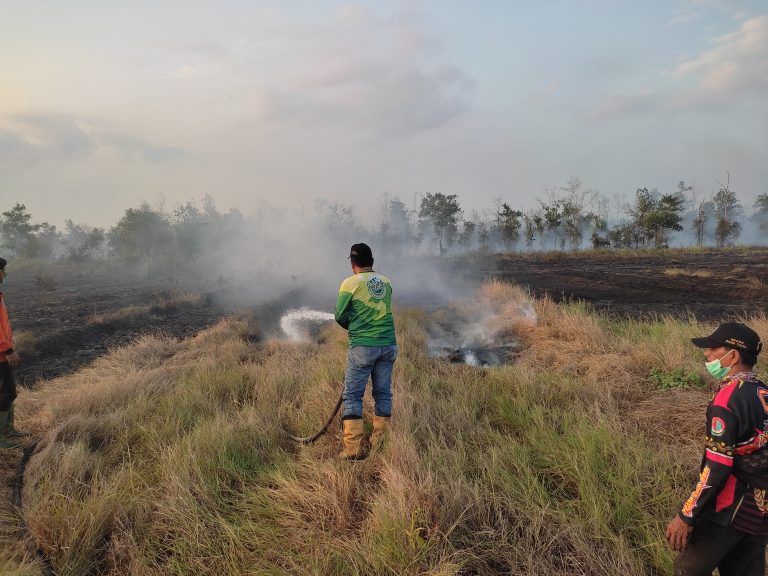 Tim Gabungan Tangani Karhutla di Abumbun Jaya, 29 Hektare Lahan Terbakar