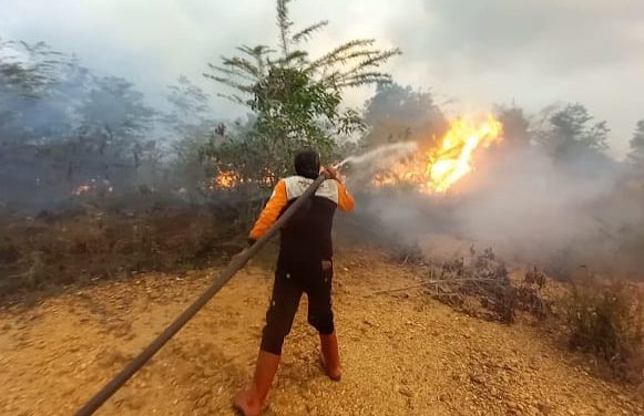 Karhutla terjadi di dekat perumahan Fitria Resident, Tim Gabungan BPBD lakukan penanganan