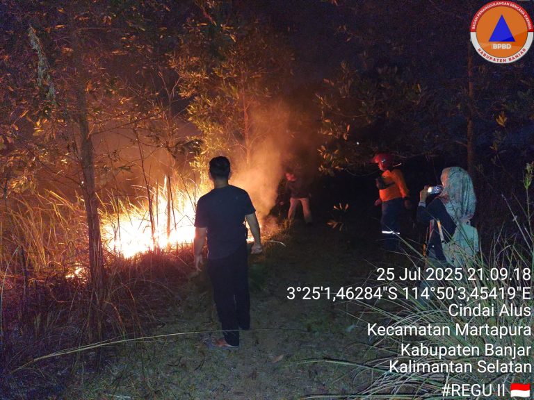 Karhutla Malam Hari di Sungai Sipai, BPBD Kerahkan TRC dan Relawan